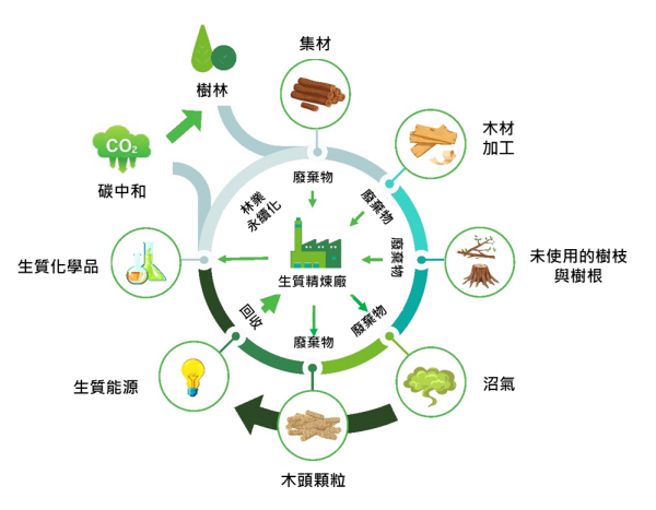 核研所生質精煉技術促成永續森林產業鏈發展